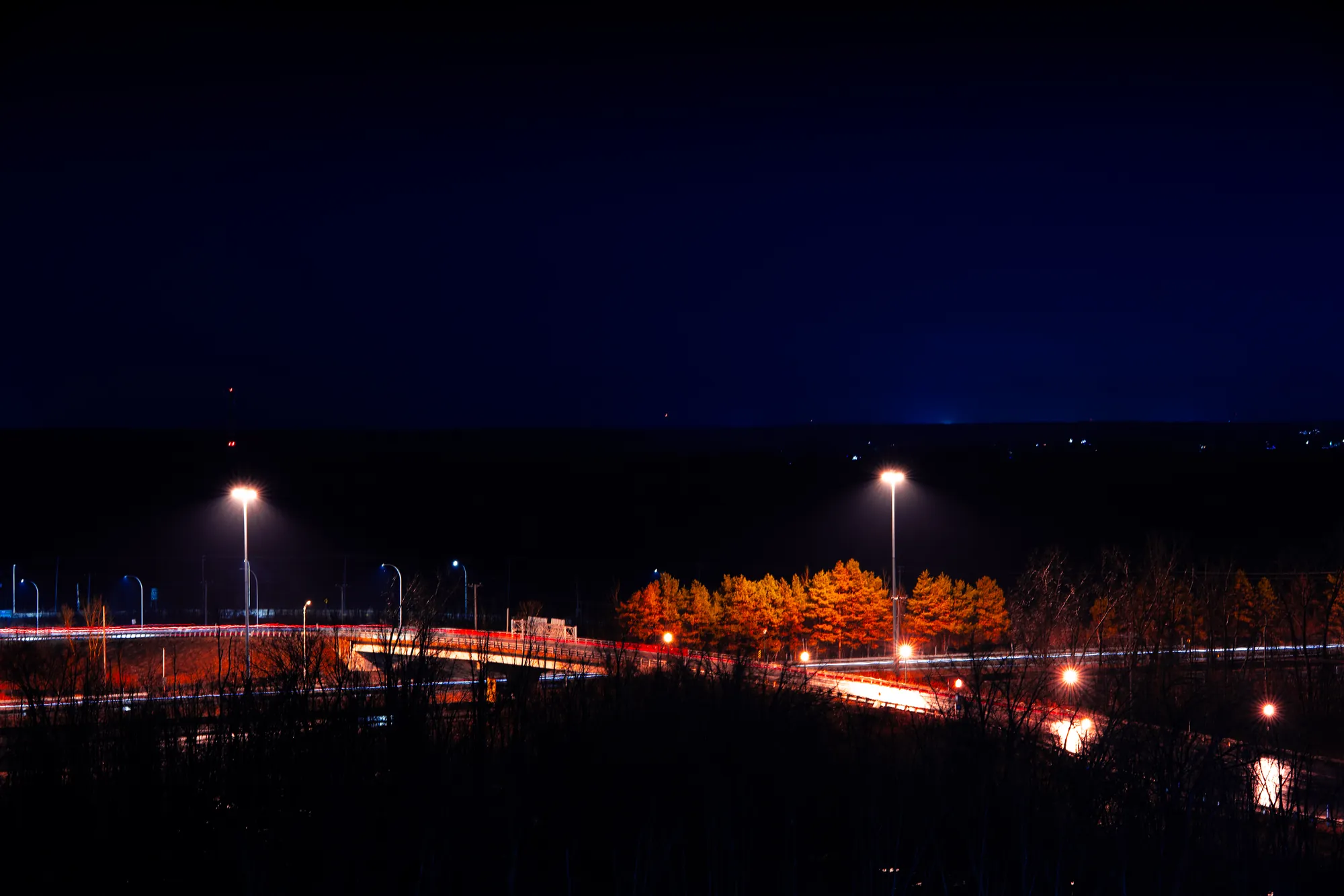 Route éclairée la nuit, bordée d'arbres aux couleurs d'automne